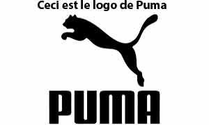 Contact Puma