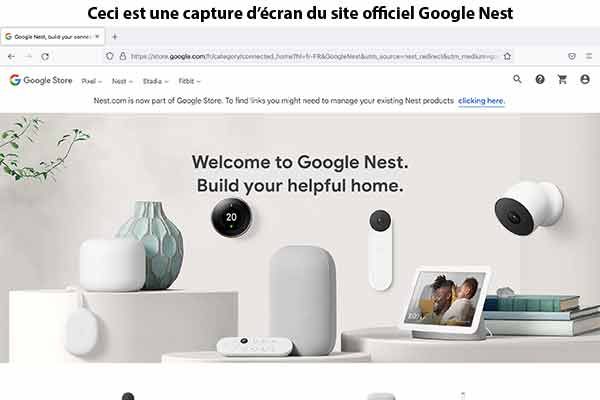 Plateforme du Google Nest 