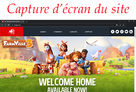 Joindre le service client Zynga